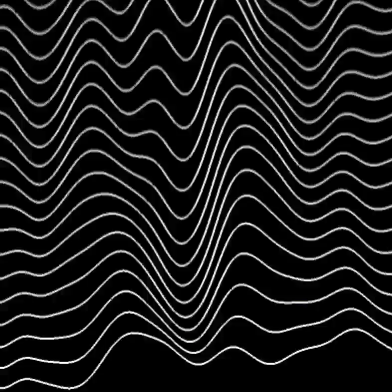 I created multiple parallel lines and used `p5.FFT()` to analyze sound frequencies, allowing the bass to influence the shape of the lines. I used `sin` to make the lines oscillate, creating this effect. It’s actually quite simple, without using complex graphics, but the result is very minimalistic and stylish, with a great visual impact.