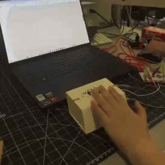 This GIF demonstrates how the bidirectional switch works in action.