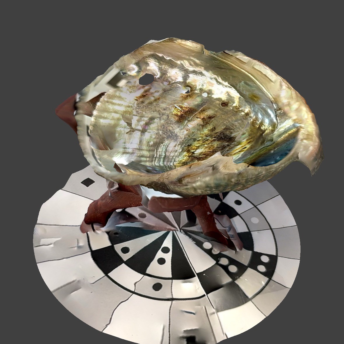 The abalone shell is one of the key tools of the tarotist. It is believed to possess natural purifying properties and its use as a receptacle for Palo Santo is an ancient tradition and ceremony. Therefore the abalone shell is very important to me. I tried to scan the abalone shell but failed in my first attempt because it has excessive reflections.