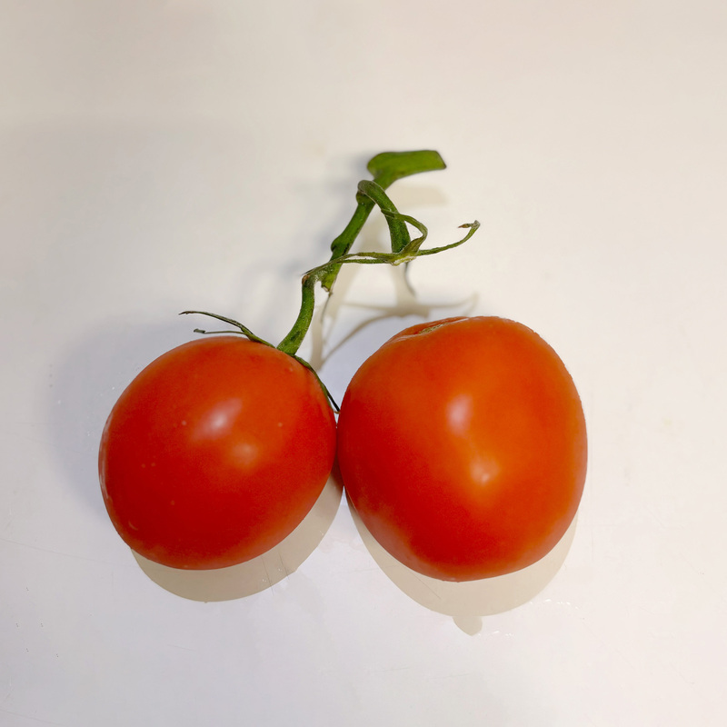 Tomatoes with stems. A front view of tomatoes makes it obvious that the tomato is a sphere with a smooth surface.