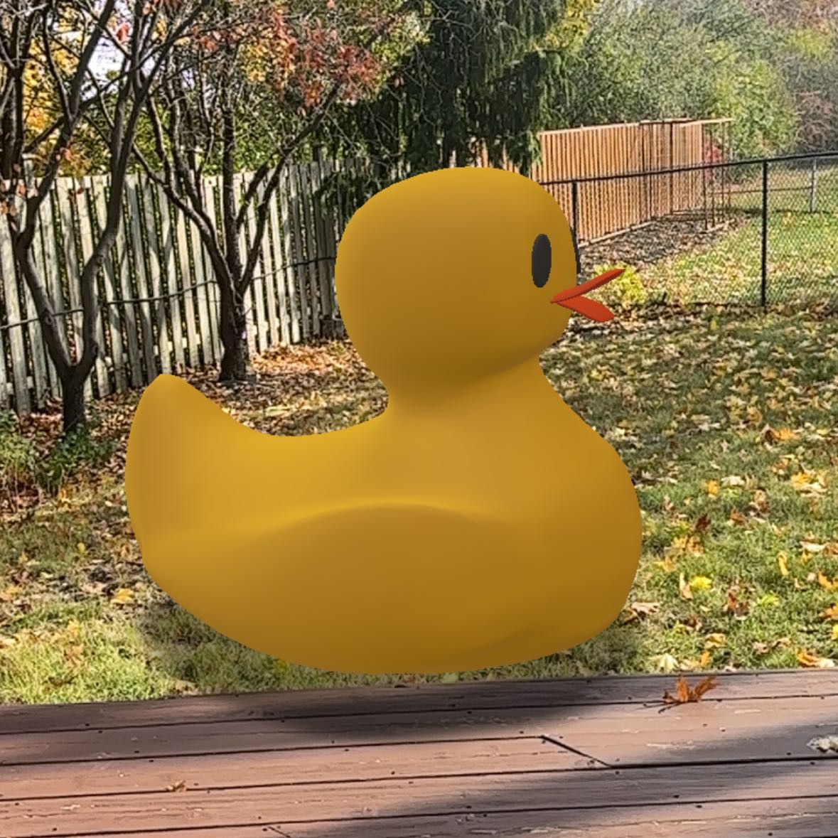 During the day, I came out to the backyard to try out Adobe Aero. I found Aero easier to scan horizontally and easier to work with in wider locations, as well as locations with high color contrast. This is what it looks like when I turn on the duck model from Project1. I scaled up the duck in Adobe Aero to get an exaggerated, interesting effect.